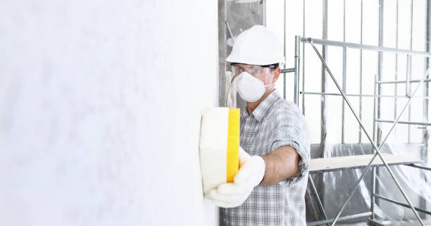 Professional Mold Removal in Foley, AL